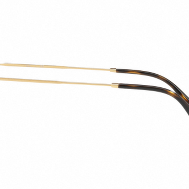 Ray-Ban RB3747 900851 Havana
