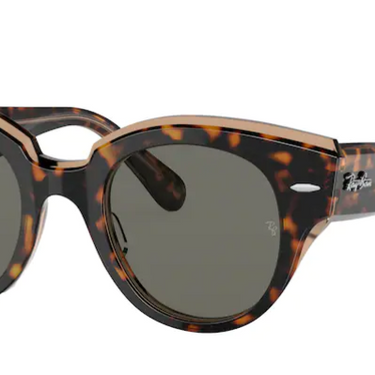 Ray-Ban Roundabout RB2192 1292B1 Havana on Transparent Brown