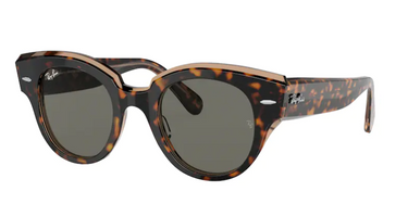 Ray-Ban Roundabout RB2192 1292B1 Havana on Transparent Brown