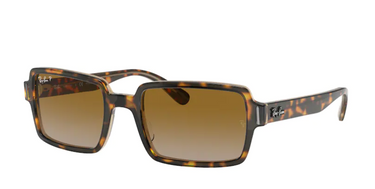 Ray-Ban Benji RB2189 1292W1 Havana on Transparent Brown