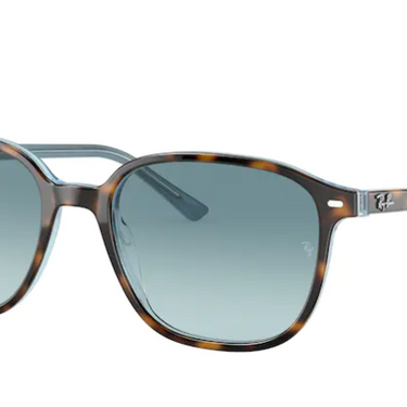 Ray-Ban Leonard RB2193 13163M Havana on Light Blue