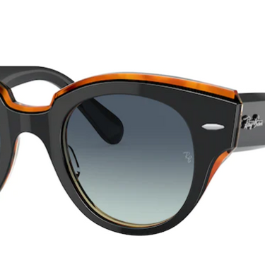 Ray-Ban Roundabout RB2192 132241 Black on Transparent Brown