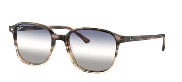 Ray-Ban Leonard RB2193 1327GF Gradient Brown Havana