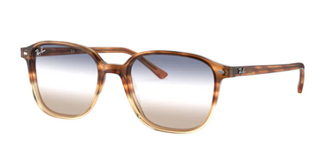 Ray-Ban Leonard RB2193 1328GD Gradient Light Brown Havana