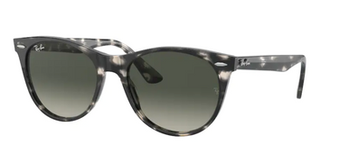 Ray-Ban Wayfarer ll RB2185 133371 Gray Havana