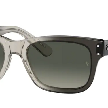 Ray-Ban MR. Burbank RB2283 134071 Transparent Gray