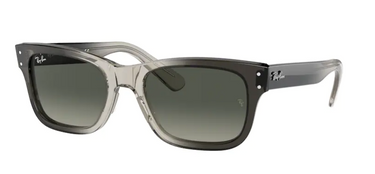 Ray-Ban MR. Burbank RB2283 134071 Transparent Gray