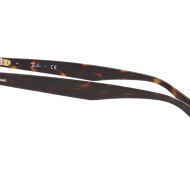 Ray-Ban RB2183 122513 Top Havana Brown/Havana Brown