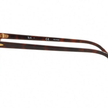 Ray-Ban Clubround RB4246 990/58 Red Havana
