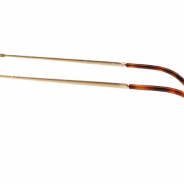 Persol PO3124S 24/31 Havana Maat 50