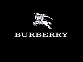 Burberry etui