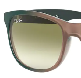 Ray-Ban Andy RB4202 63688E set reserve glazen