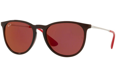 Ray-Ban Erika Color Mix RB4171 6339D0 Brown