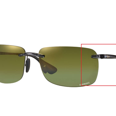 Ray-Ban RB4255 Pootjes