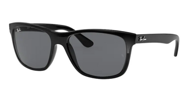 Ray-Ban RB4181 601/87 Black