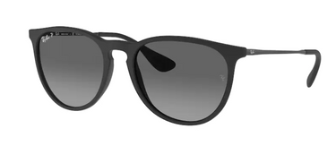 Ray-Ban Erika RB4171 622/T3 Black Rubber