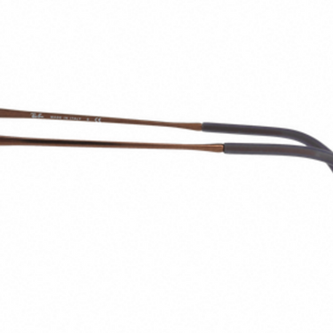 Ray-Ban RB4222 622413 Brown Shot On Black