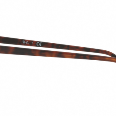 Ray-Ban Clubround Double Bridge RB4346 62519J Shiny Red Havana