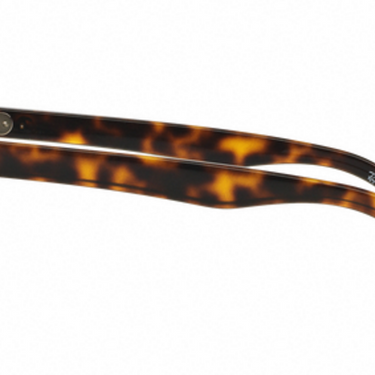 Ray-Ban RB4203 710/13 Shiny Havana