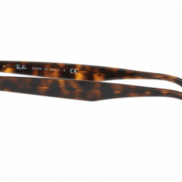 Ray-Ban New Gatsby II RB4257 710/71 Havana