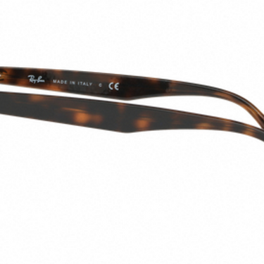 Ray-Ban RB4259 710/73 Shiny Havana