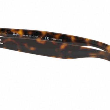 Ray-Ban Andy RB4202 710/9R Shiny Havana