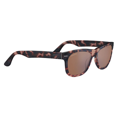 Serengeti Foyt Large SS550005 Shiny Tortoise
