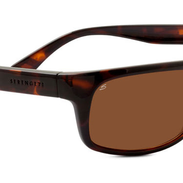 Serengeti Misano 8176 Shiny Dark Tortoise