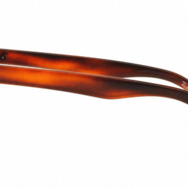 Ray-Ban RB4203 820/73 Shiny Striped Havana
