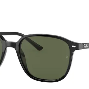Ray-Ban Leonard RB2193 901/31 Black