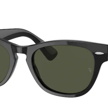 Ray-Ban Laramie RB2201 901/31 Black