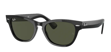 Ray-Ban Laramie RB2201 901/31 Black