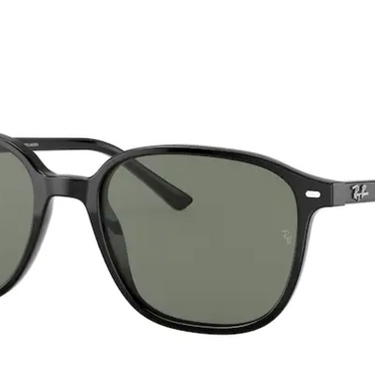 Ray-Ban Leonard RB2193 901/58 Black