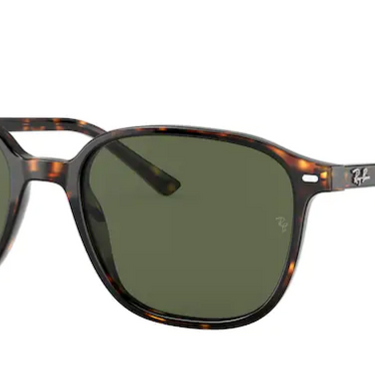 Ray-Ban Leonard RB2193 902/31 Tortoise