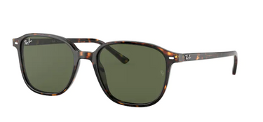 Ray-Ban Leonard RB2193 902/31 Tortoise