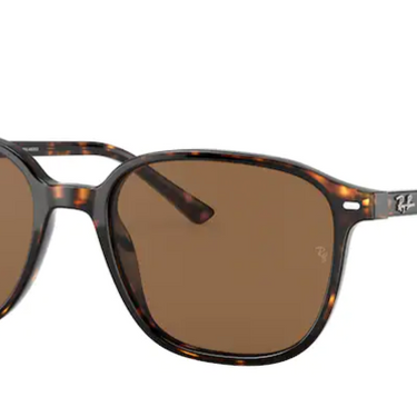 Ray-Ban Leonard RB2193 902/57 Tortoise