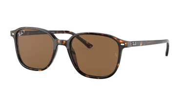 Ray-Ban Leonard RB2193 902/57 Tortoise