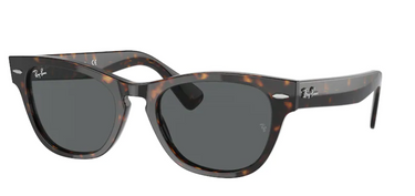Ray-Ban Laramie RB2201 902/B1 Tortoise