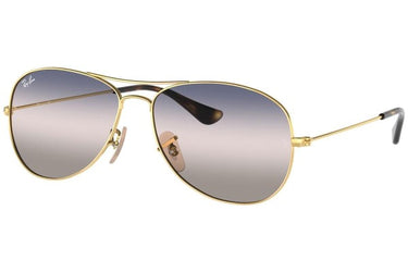 Ray-Ban Cockpit RB3362 001/GE Arista