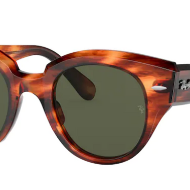 Ray-Ban Roundabout RB2192 954/31 Striped Havana