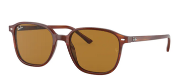Ray-Ban Leonard RB2193 954/33 Striped Havana