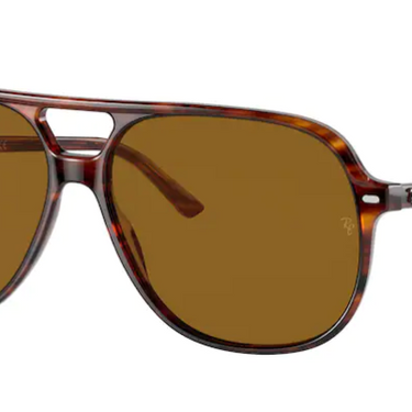 Ray-Ban Bill RB2198 954/33 Striped Havana