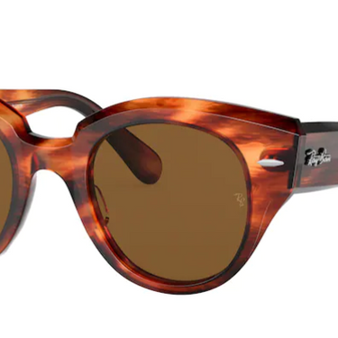Ray-Ban Roundabout RB2192 954/57 Striped Havana