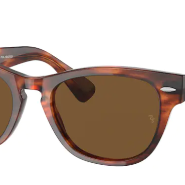 Ray-Ban Laramie RB2201 954/57 Striped Havana