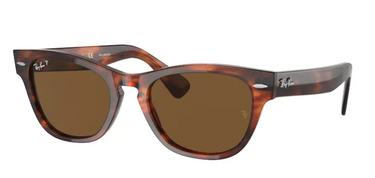 Ray-Ban Laramie RB2201 954/57 Striped Havana