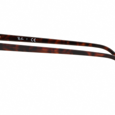 Ray-Ban Clubround Double Bridge RB4346 990/33 Shiny Red Havana