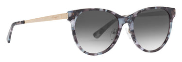 Prego 99106-02 Blue Tortoise
