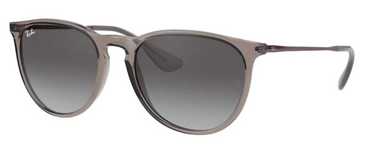 Ray-Ban Erika RB4147 65138G Transparent Grey