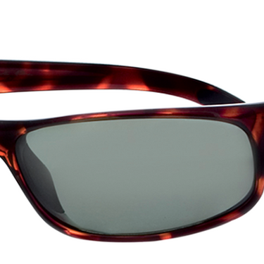 Bollé Zonnebril Anaconda 10335 Dark Tortoise