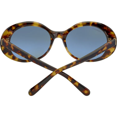 Serengeti Bacall SS541005 Shiny Tort Havana